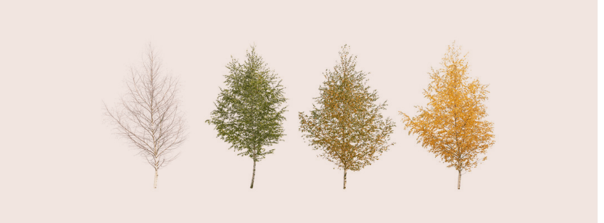 The Changing Seasons